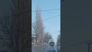 2 марта 2024 г.
