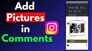 How To Add Picture In Comment Instagram 2024