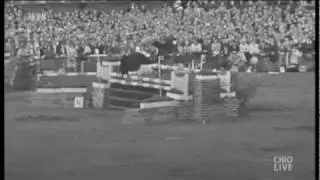 CHIO Aachen 1955 - Raimondo and Piero d'Inzeo