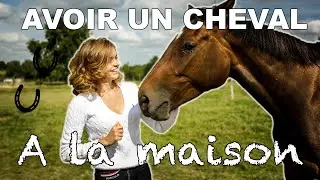 Avoir un CHEVAL à la MAISON