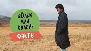 Волки или валки? Факты.