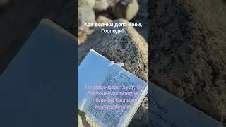 #доверься