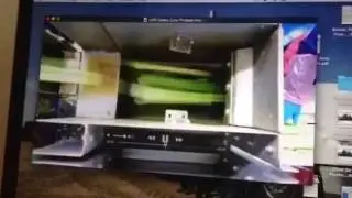 Newtec PC Weigher for Celery Stick Packs