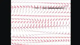 Fluid Dynamics and Animation