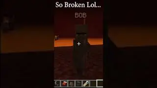 Villagers can sleep in the nether…