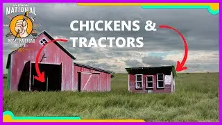 Building & Modifying the Walthers Chicken Coop & Sheds for the National Model Railroad Build Offl