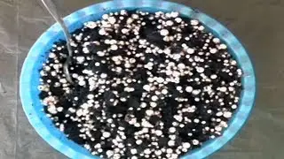 Фиалки. Грунт для фитильного полива.