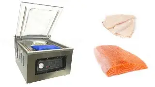 Вакуумный упаковщик VOLTEK DZ-500/2F (настольный)