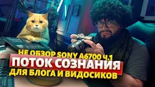 Не только лишь про SONY A6700 а про блогерские нужды!