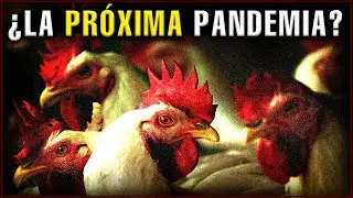 GRIPE AVIAR: ¿La Próxima PANDEMIA? - Documental Mini