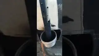 10 ноября 2023 г.