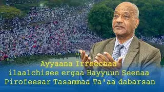 Ayyaana Irreechaa ilaalchisee ergaa hayyuun seenaa pirofeesar Tasammaa Ta'aa dabarsan‼️