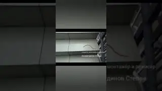 Фильм заразные волосы !!!