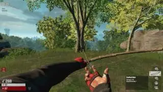 Culling aiming video, crosshair overlay