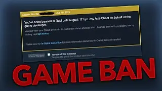 2014 Rust player game banned