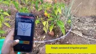 Automated irrigation project with ESP8266