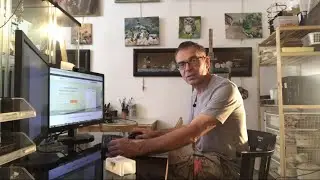 Мы хотим встречаться в интернете! Как пользоваться сервисом 'zoom'
