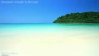 biosphere - loungin' in the sand
