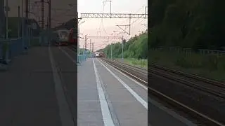 "ласточка" эс2г-019 и "сапсан" эвс1-016  пролетает станцию Трубниково |#TrollVMZ #trainers #train