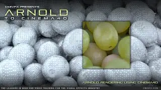 Arnold C4D Vimeo