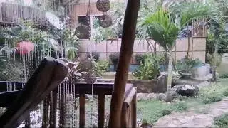 CASA EDUARDO @ CLAVERIA, MASBATE