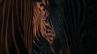 the holes you try to hide - a new film - 20/2/24
