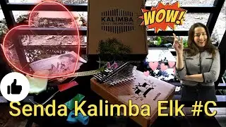 Senda Kalimba elk C