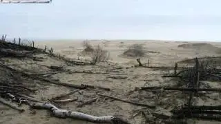 Шопен Калининград