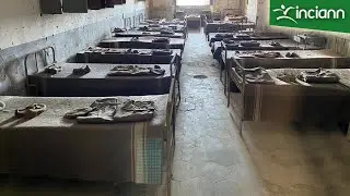 Il carcere di Procida: un’incrostazione di silenzi che parlano al cuore 💓