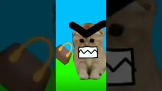 Недели котёнок Shorts (7) 