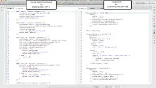 Consuming Java 8 Spark's REST APIs using AngularJS