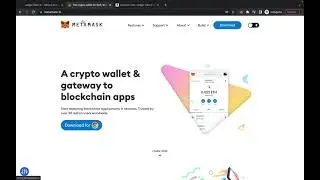 How To Buy PulseX and Pulsechain Safely Overview for Beginners