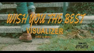 Wish You The Best - Exile Di Brave  ( Affinity Visualizer )