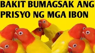 IKAW ANU OPINION MO