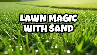Transform Your Lawn with Play Sand