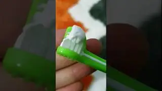 Чем почистить собаке зубы 🐕 🐶 🐾 #собака #собаки #собакадругчеловека