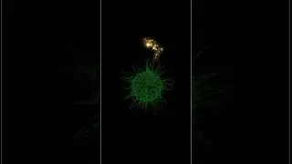 Draw a virus by using turtle in Python 