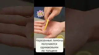 Ломтерезка для лимона бытовой   ев коммерческая овощерезка для резки картофеля