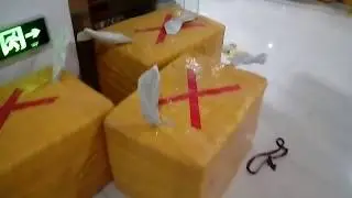 МЦПС. Хоргос. Золотой порт. Наезд на пешехода. Китайская полиция.