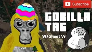 Playing Gorilla Tag W/@MsmVRPlayer