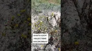 #АНАПА