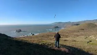 Ncfm Bluto at Goat Rock -Jenner, california
