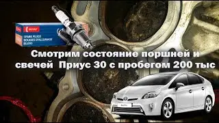 Меняем масло. Смотрим свечи,поршни, катушки на Приус zvw30 (пробег 200 тыс)