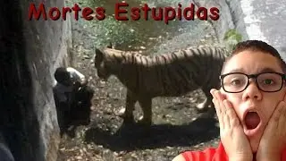 Mortes Mais estúpidas dos últimos tempos