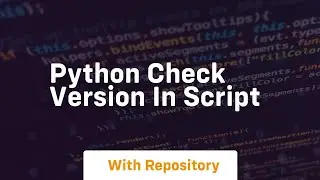python check version in script