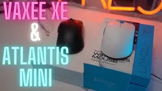 Vaxee XE Wireless & Lamzu Atlantis Mini Overview