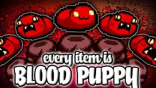 Every Item is Blood Puppy!