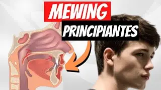 COMO HACER MEWING - Guía Para PRINCIPIANTES