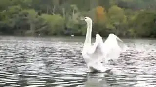 Ногайские песни.