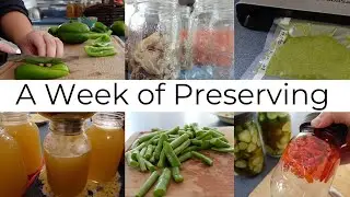 A Week of Preserving